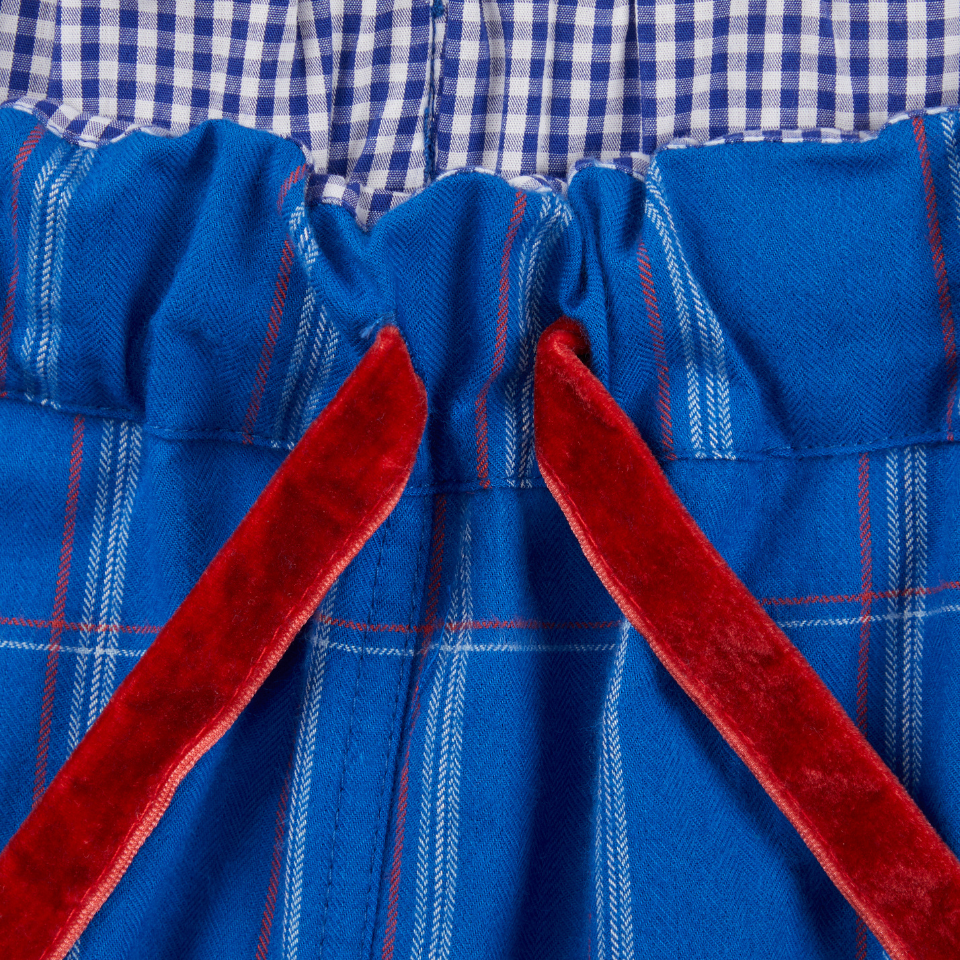 Children's Hectors Dolphin