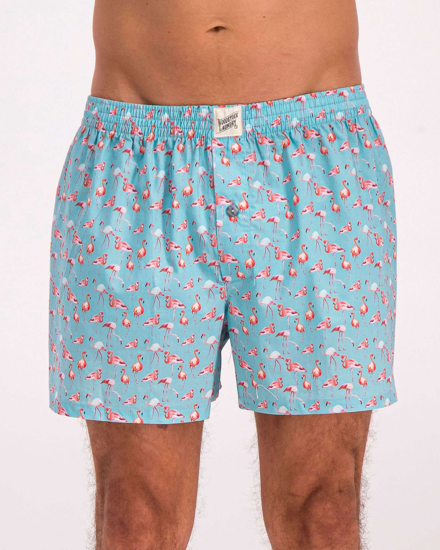 Mens Boxer Shorts - Blue Flamingos