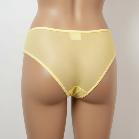 X-Ray Brazilian Briefs