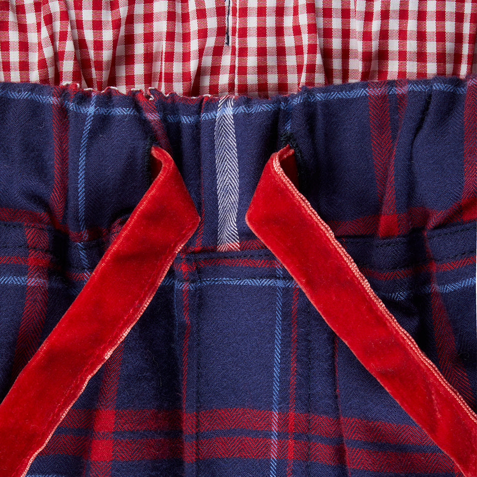 Children's Red Panda