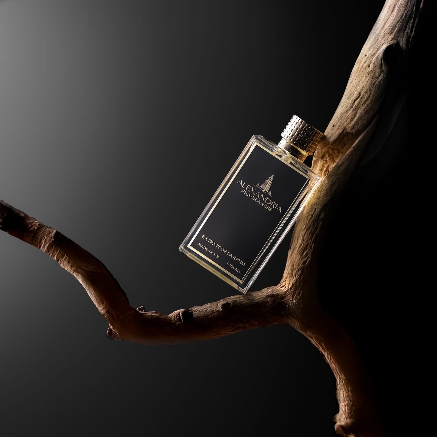 Egyptian Attitude Inspired By Armani Attitude | Dupe | Clone | Alternative | Luxury | Quality | Copy Extrait de Parfum