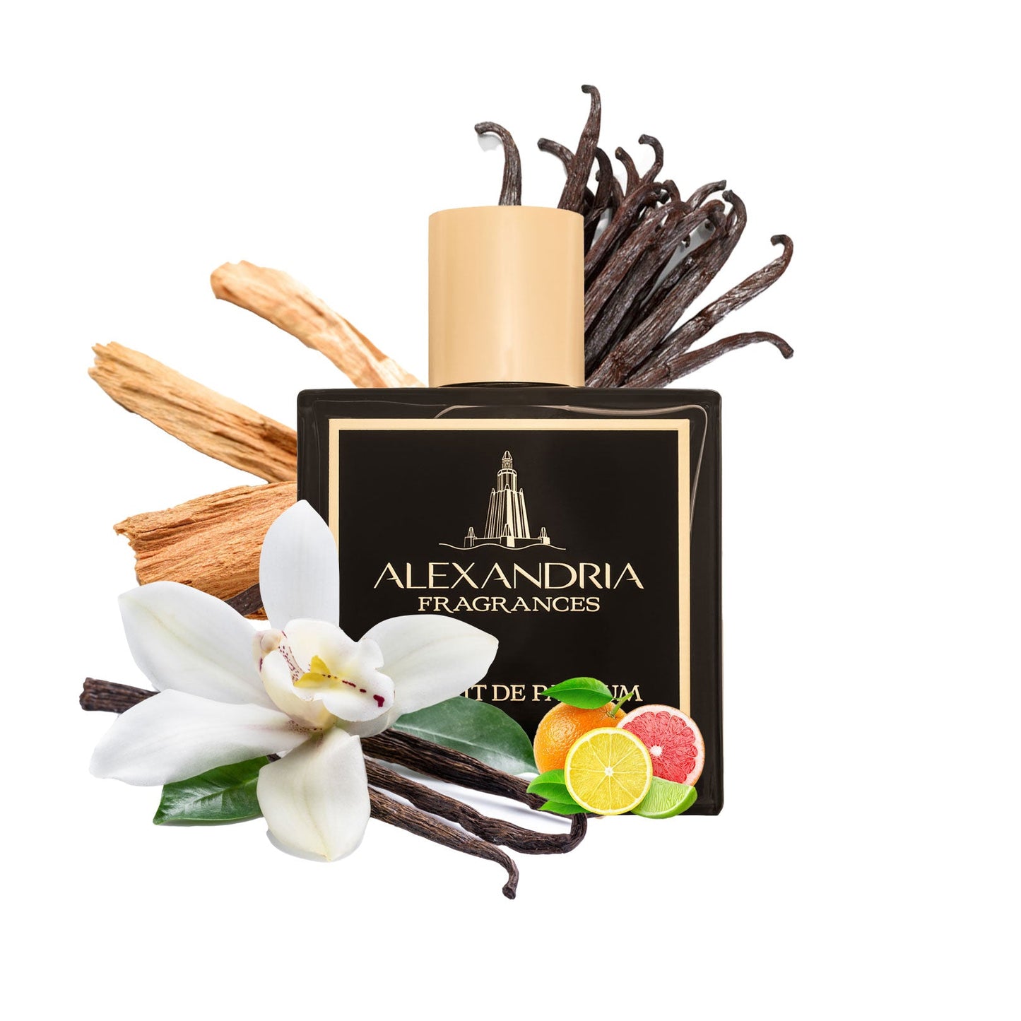 Alexandria Signature | Dupe | Clone | Alternative | Luxury | Quality | Copy Extrait de Parfum