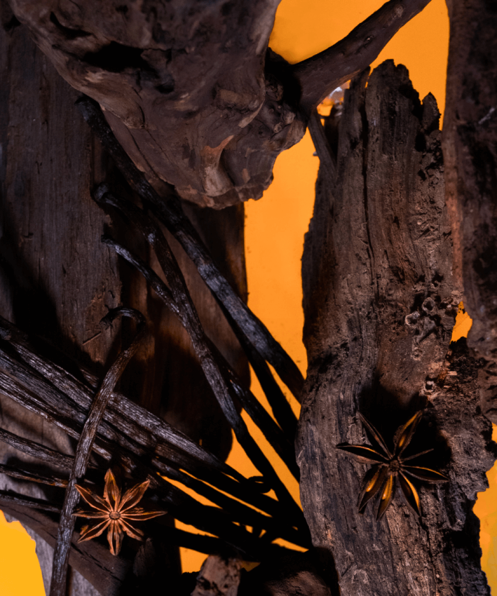 OUD BOURBON 100ml Eau de Parfum | Maissa Perfume UK