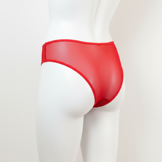 X-ray Women's Briefs on mannequin - second image
