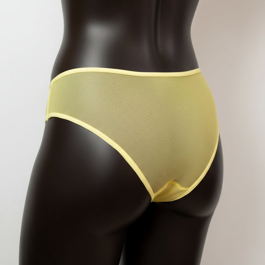 X-Ray Brazilian Briefs