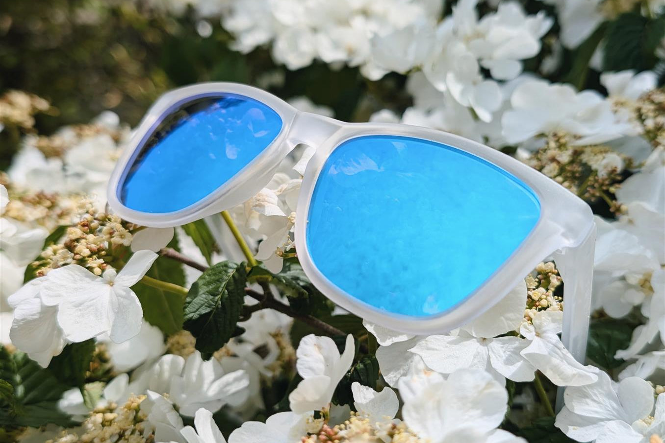 Luma Sunglasses - Harlyn - Frosted Blue