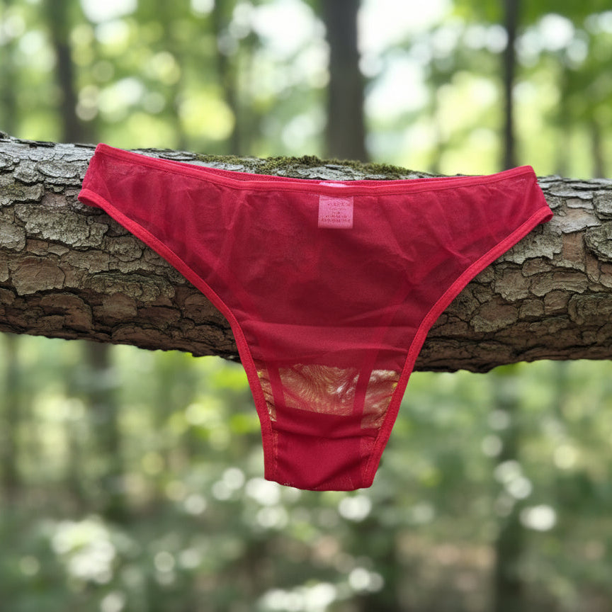 X-ray Women's Briefs