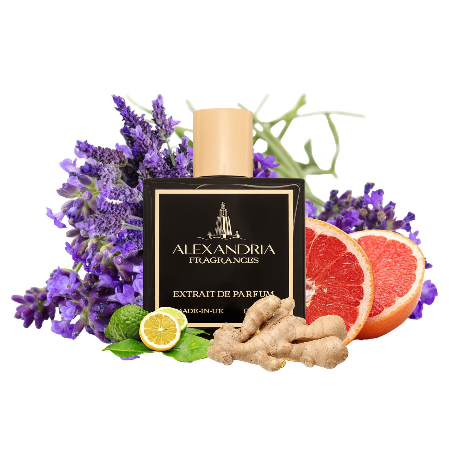 L’INVASION Inspired By MDCI's Invasion Barbare | Dupe | Clone | Alternative | Luxury | Quality | Copy Extrait de Parfum