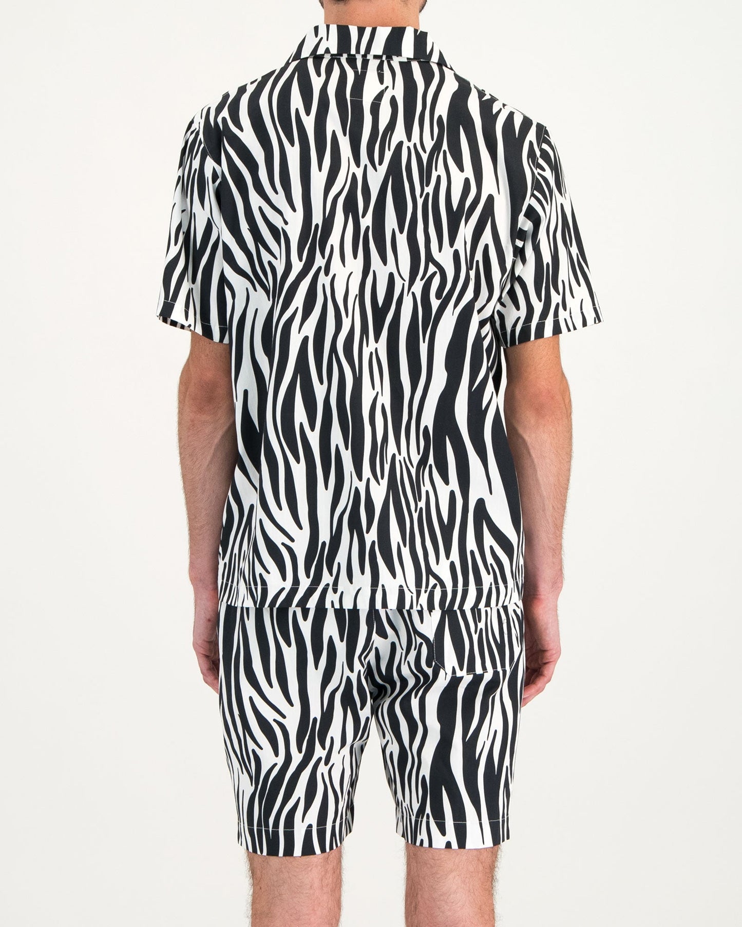 Mens Short Pyjamas - Zebra