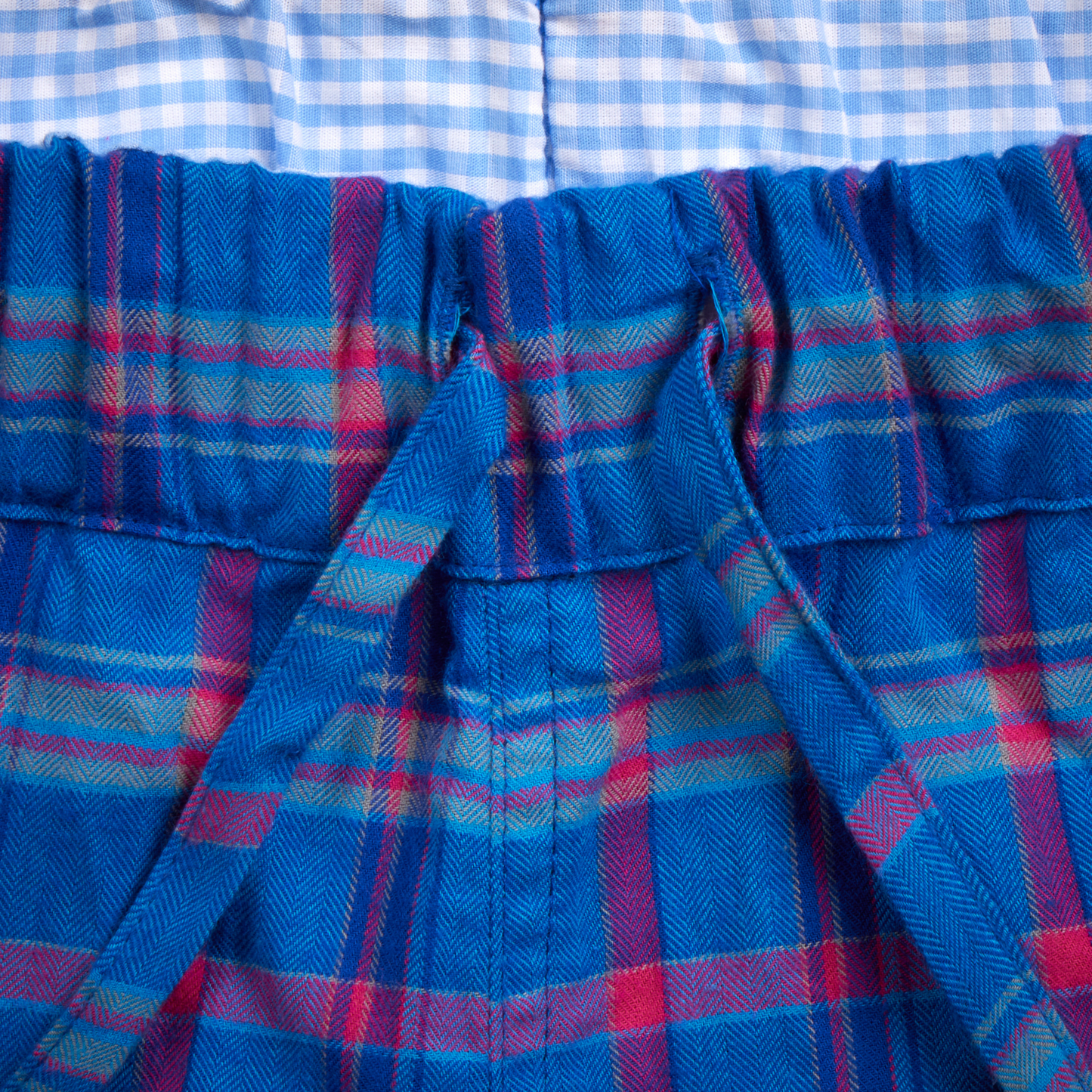 Whale Shark short shorts