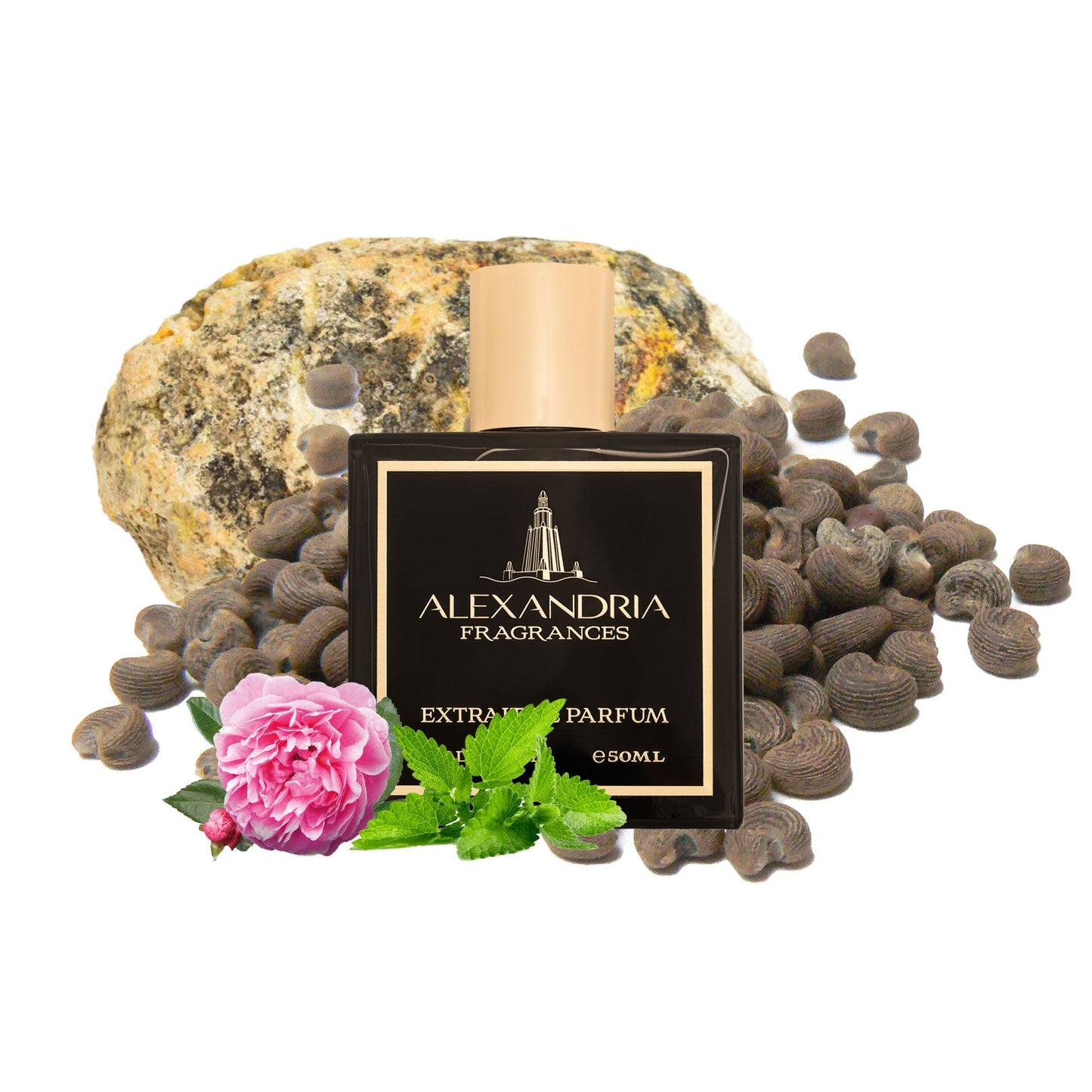 San Diego Exclusive Inspired ByLe Labo's Musc 25  | Dupe | Clone | Alternative | Luxury | Quality | Copy Extrait de Parfum