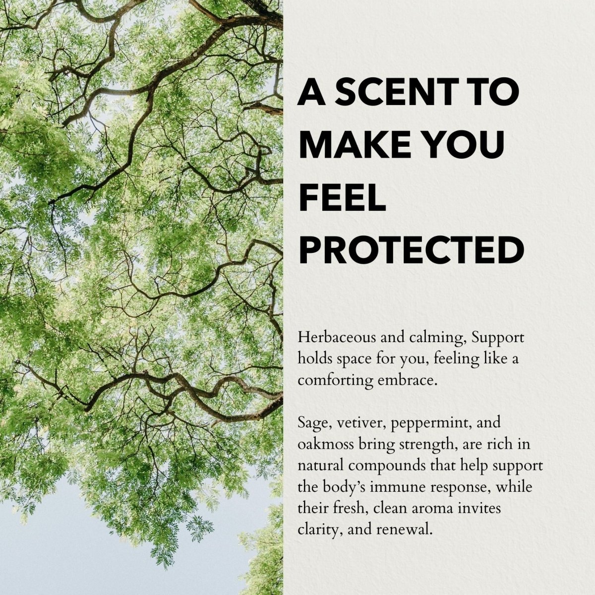 Support Functional Parfum