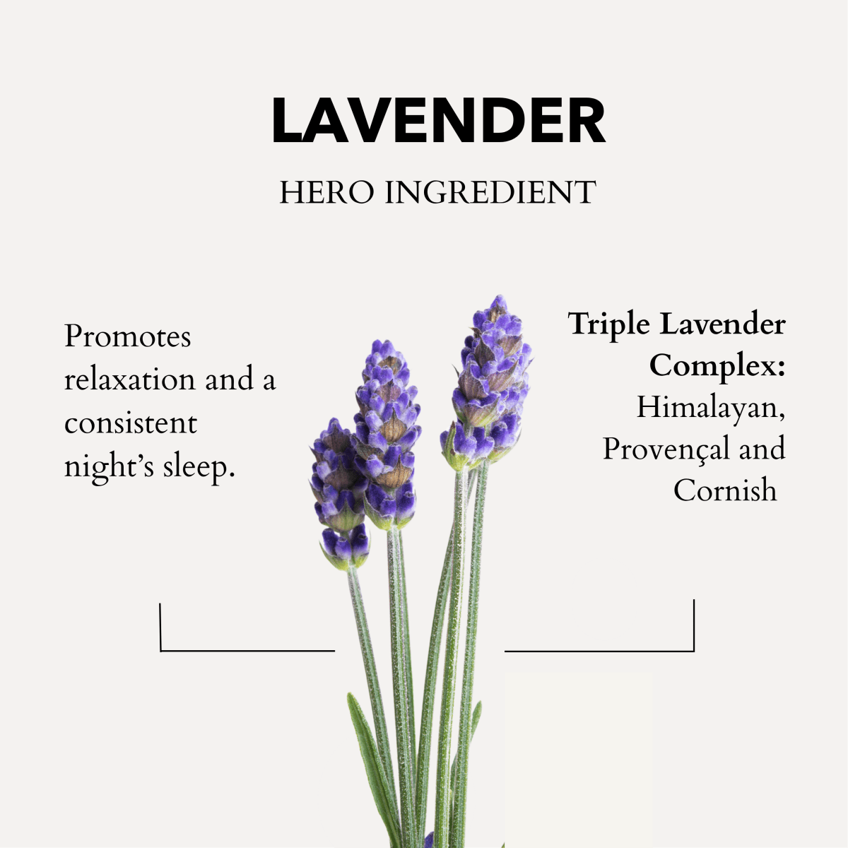 The Little Gift of Good Sleep - Lavender
