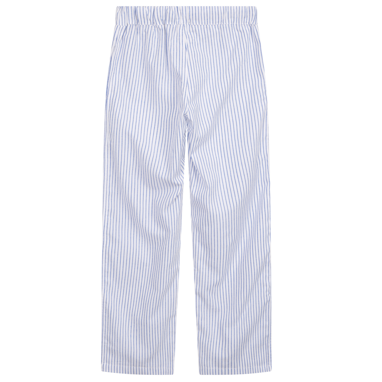 Children's Monk Seal