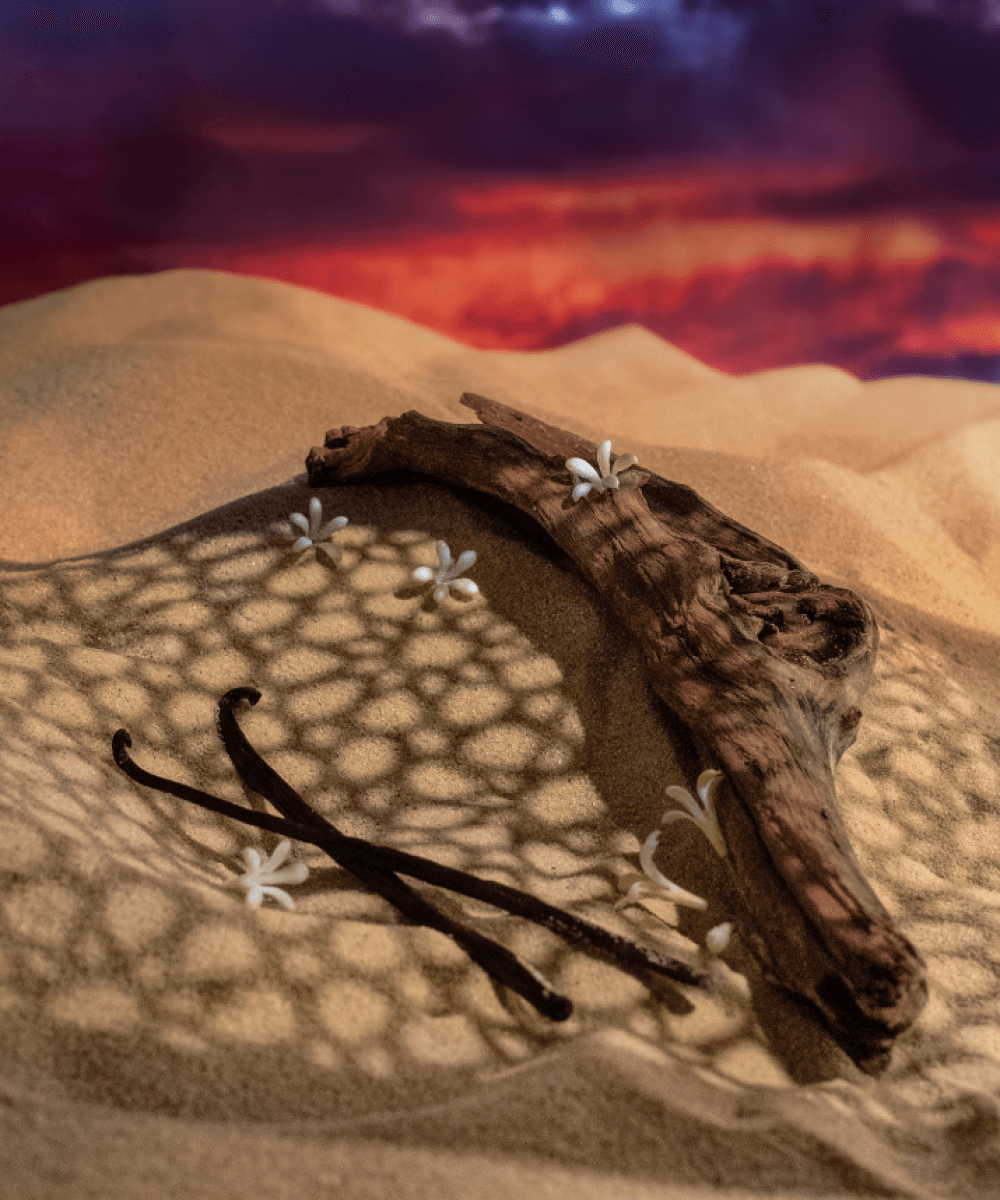 DJANET SUNSET 100ml Extrait de Parfum | Maissa Perfume UK