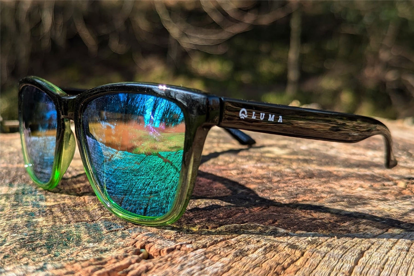 Luma Sunglasses - Harlyn - Green